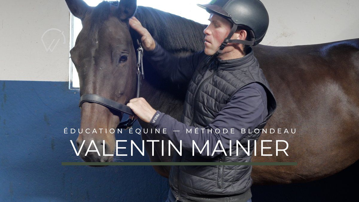 Vidéo de présentation — Valentin Mainier, éducation équine